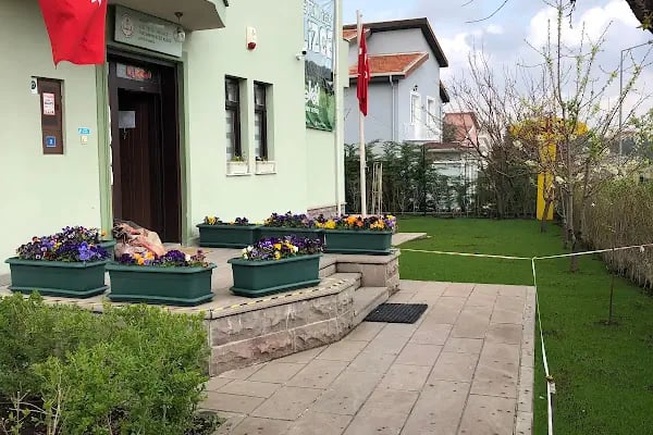 TEKDİL - Çayyolu Çocuklar için İngilizce Kursu Yaz Okulu Şubesi - Resim 6