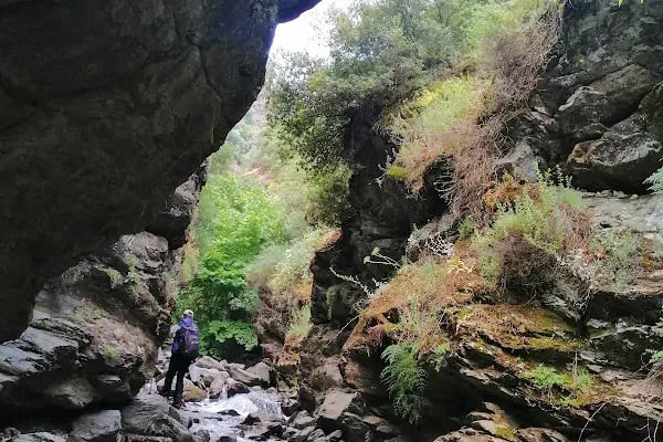 Çıplak Değirmen - Resim 18