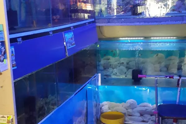 Ceyhun Petshop - Resim 4
