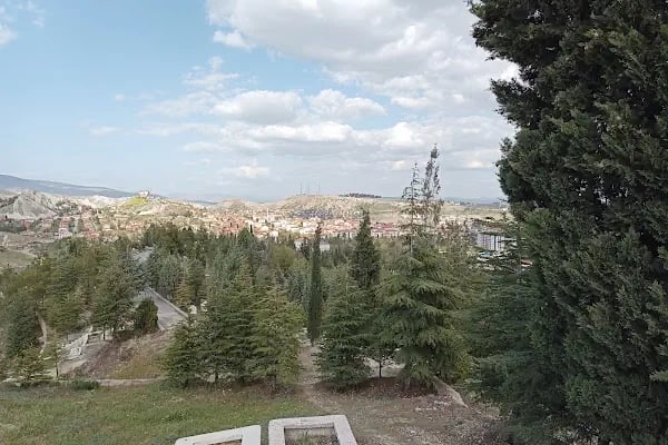 Beypazarı Şehir Mezarlığı - Resim 4