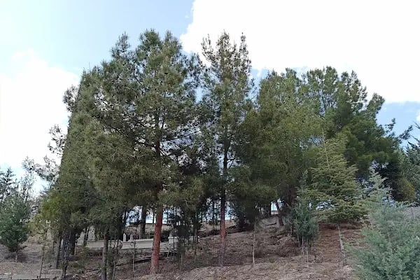 Beypazarı Şehir Mezarlığı - Resim 11