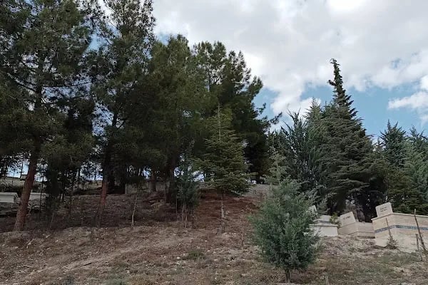 Beypazarı Şehir Mezarlığı - Resim 17