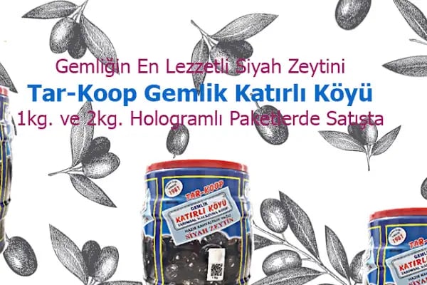 Mert Tur Öğrenci&amp;Personel Servis Taşımacılığı - Resim 1