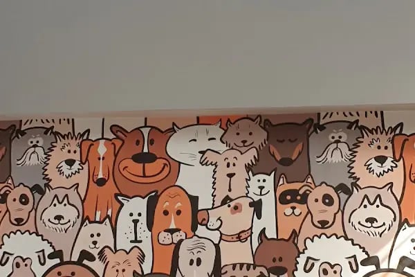 Orenda Veteriner Kliniği - Resim 9