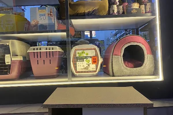 Madagaskar Pet Shop - Resim 6