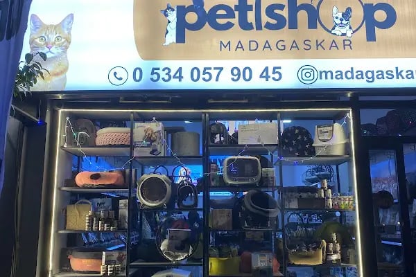 Madagaskar Pet Shop - Resim 12