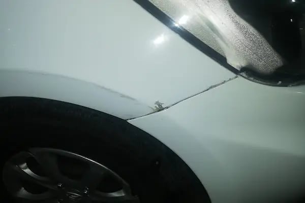 Refref Rent A Car - Resim 8