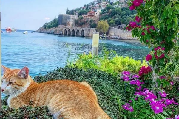 Alanya - Resim 7