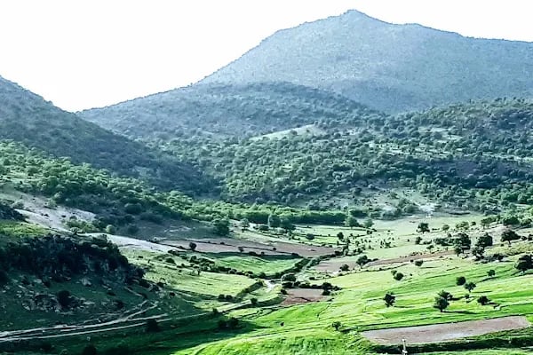 Fasıllar Monument - Resim 20