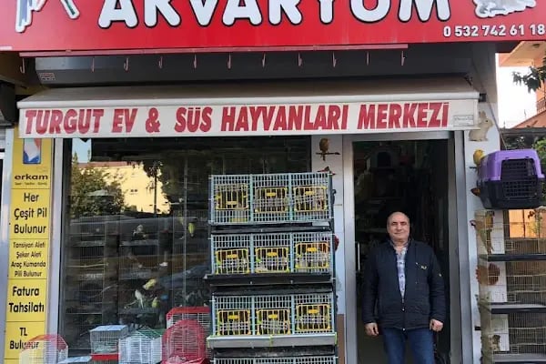 Turgut Akvaryum - Resim 2