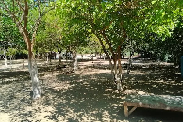 Toprak Kamping - Resim 2