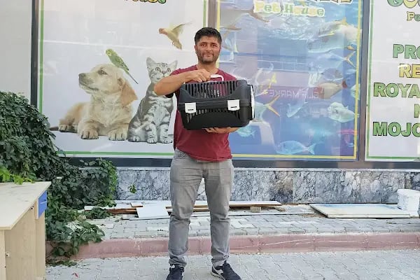 Tosbaa Petshop - Resim 12