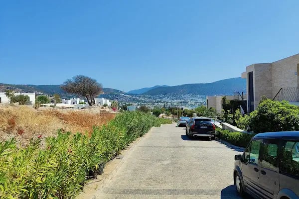 Reef Bardakçı - Resim 5