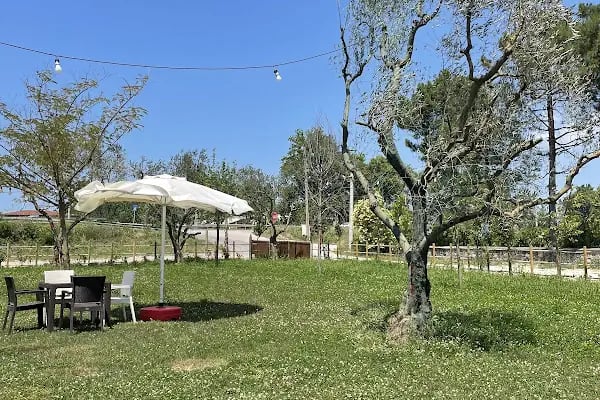 Amra Garden - Resim 5