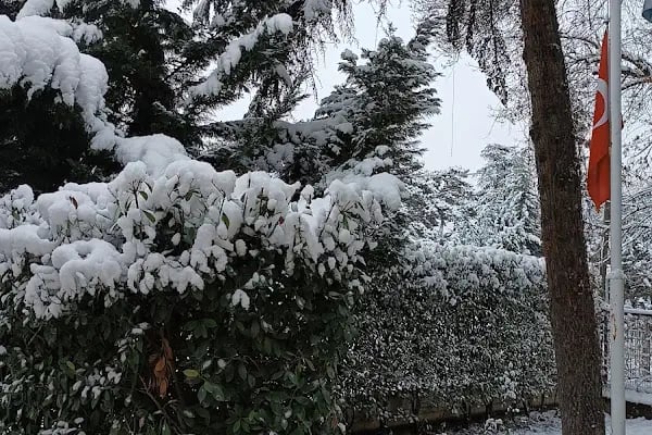 İnegöl Hanife Selçuk Teşik Rehberlik Ve Araştırma Merkezi - Resim 2
