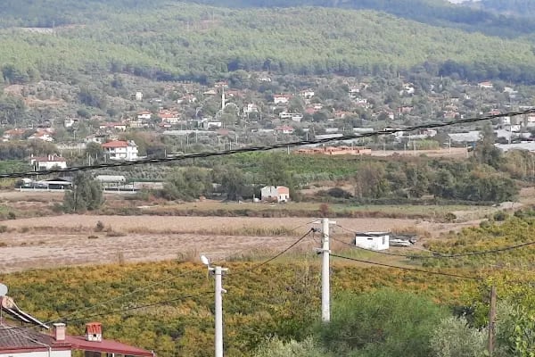 Tepekokoreç - Resim 3
