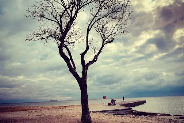 Tarihi haylayf plajı - Resim 16