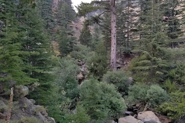 aladağlar milli parkı tekir çimeği - Resim 5