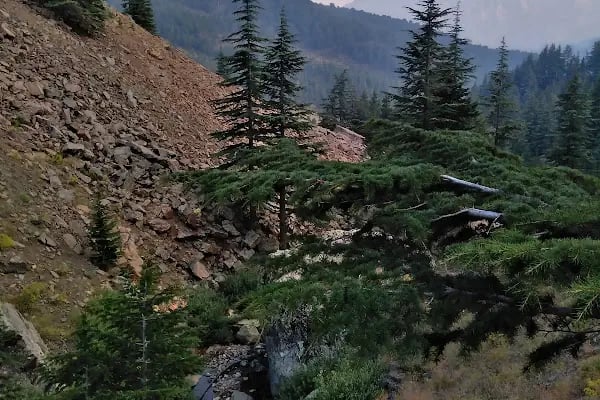 aladağlar milli parkı tekir çimeği - Resim 6