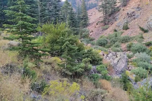 aladağlar milli parkı tekir çimeği - Resim 7