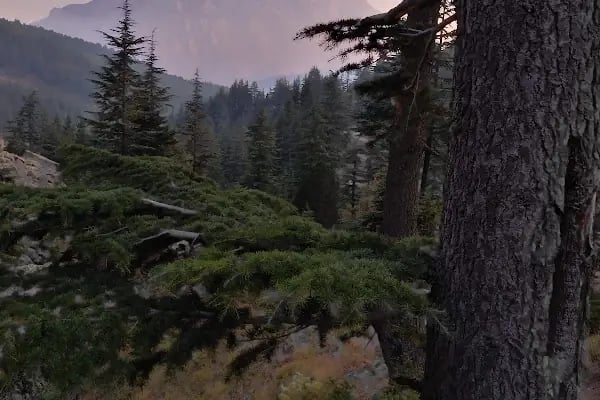 aladağlar milli parkı tekir çimeği - Resim 8