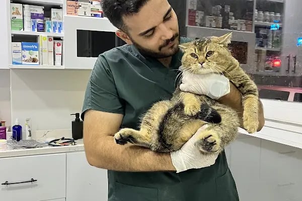 Adana Terapi Hayvan Hastanesi - Resim 6