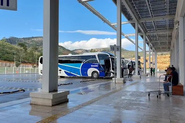 Pamukkale Turizm Bodrum Otogar - Resim 12