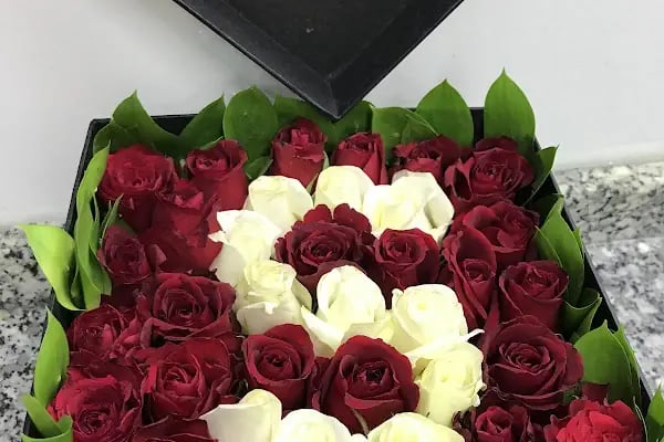 Aksoy Çiçekçilik - Resim 17