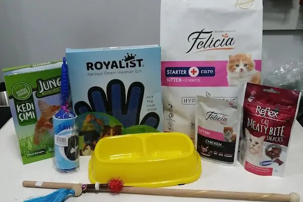 Kısmet kuş evi petshop - Resim 5