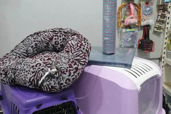 Kısmet kuş evi petshop - Resim 4