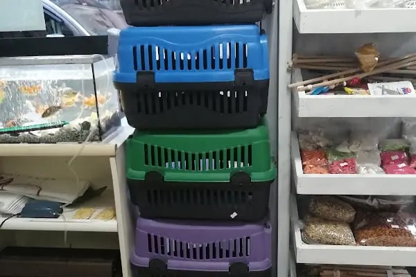 Kısmet kuş evi petshop - Resim 6