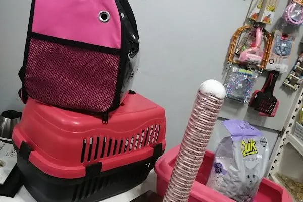 Kısmet kuş evi petshop - Resim 2