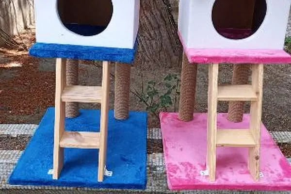 Kısmet kuş evi petshop - Resim 3