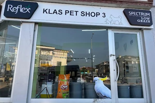 Klas Petshop 3 - Resim 10