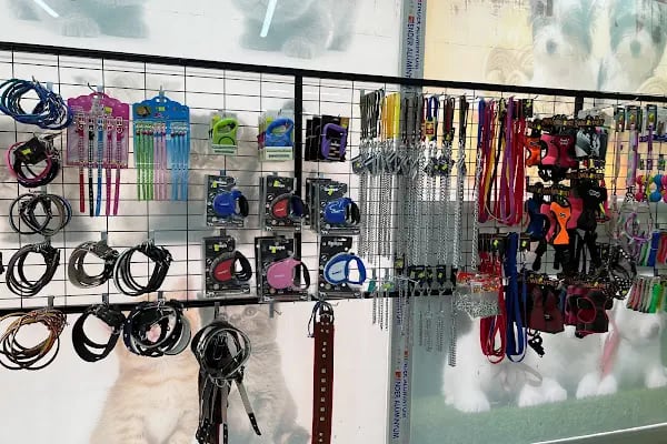 Klas Petshop 3 - Resim 3