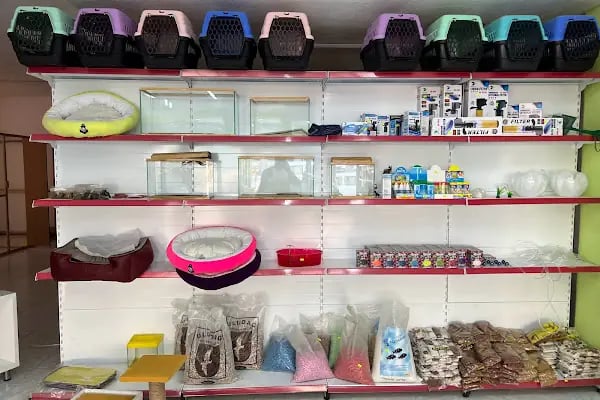 Klas Petshop 3 - Resim 9