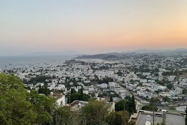 Gündoğdu Villaları ve Rıza'nın Mekanı - Resim 14