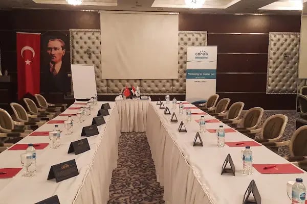 Ramada by Wyndham Ankara Hotel - Resim 8