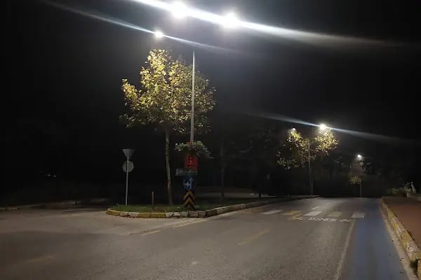 SAU Giriş - Resim 12