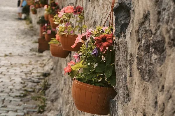 Seyir Yeri Otel Cafe&amp;Restaurant - Resim 20