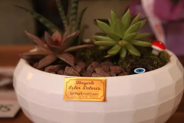 Fidanoğlu Suite Hotel - Resim 12