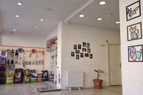 Gigi Veteriner Kliniği - Resim 19