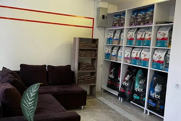 Gigi Veteriner Kliniği - Resim 9