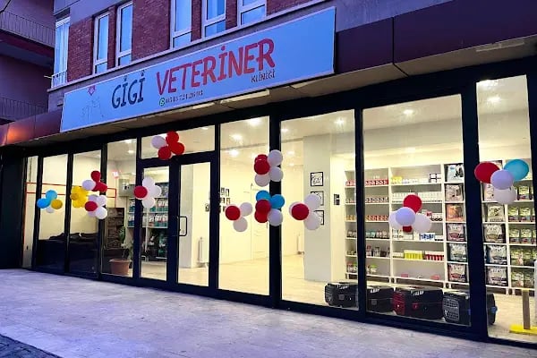 Gigi Veteriner Kliniği - Resim 2