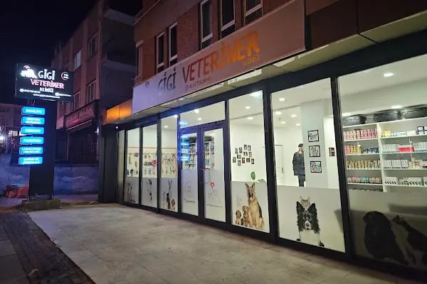 Gigi Veteriner Kliniği - Resim 1
