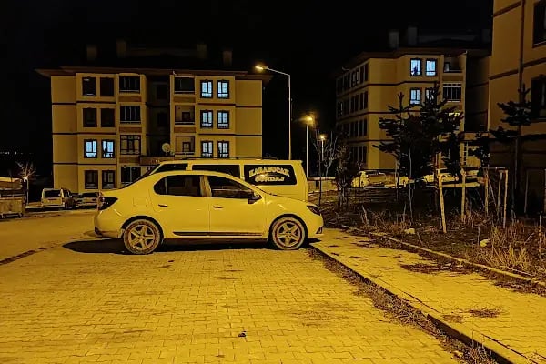 Altınekin Toki Parkı - Resim 1