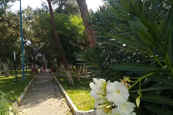 Çamlık Parkı - Resim 3