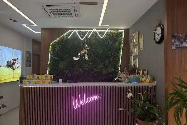 Hanvet Clinic - Gemlik Veteriner Kliniği - Resim 3
