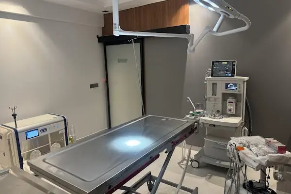 Hanvet Clinic - Gemlik Veteriner Kliniği - Resim 5