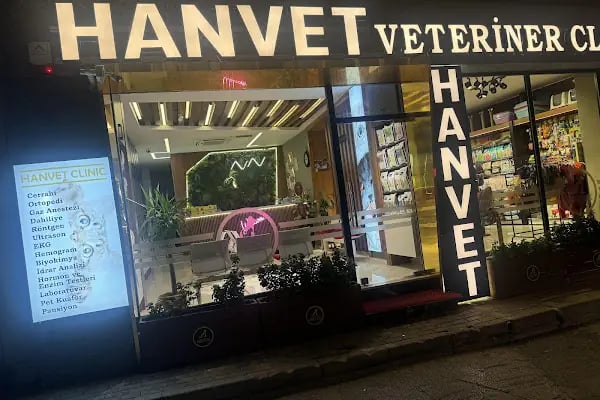 Hanvet Clinic - Gemlik Veteriner Kliniği - Resim 2
